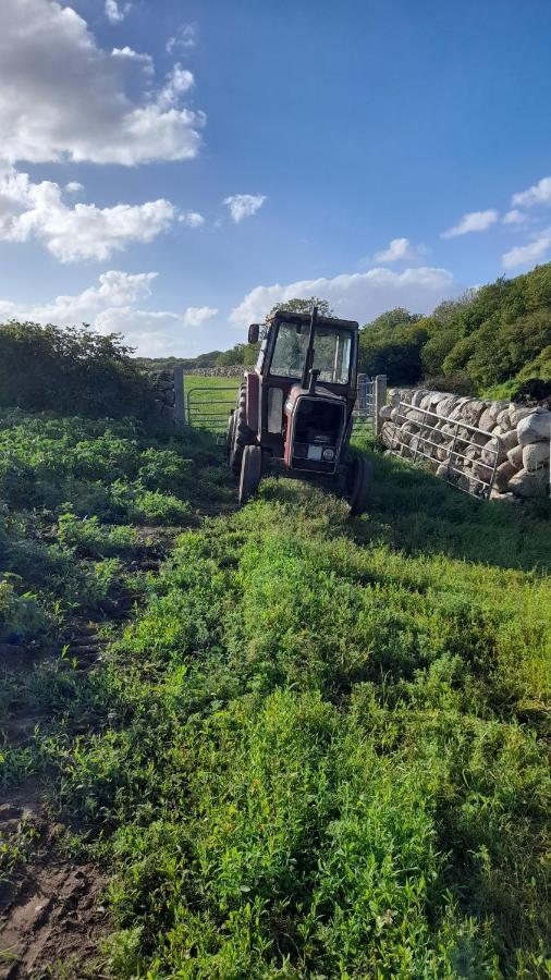 Ballykeel Farm, Mourne Mountains Ballymartin Exterior foto